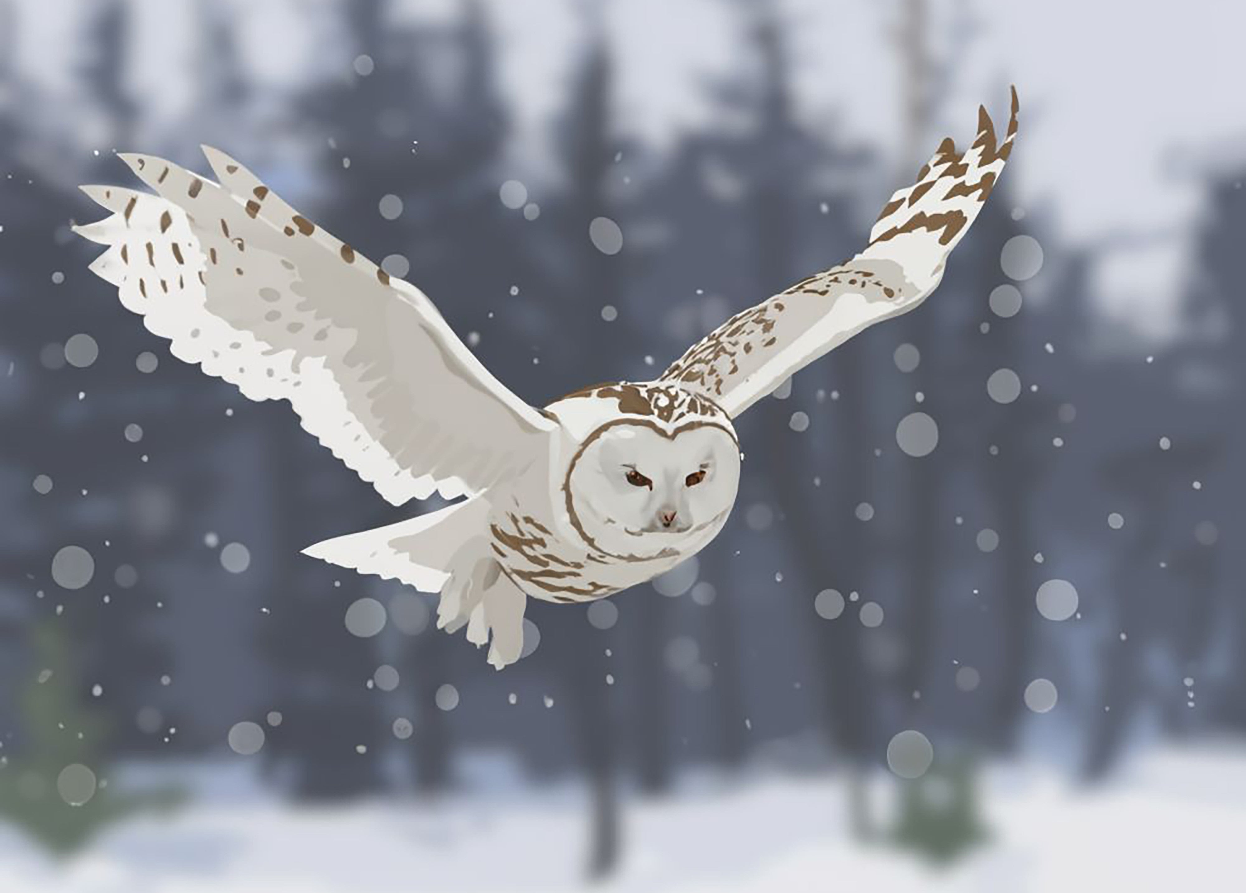 Illuminated Wall Art - Snow Owl in Flight - Illuminart