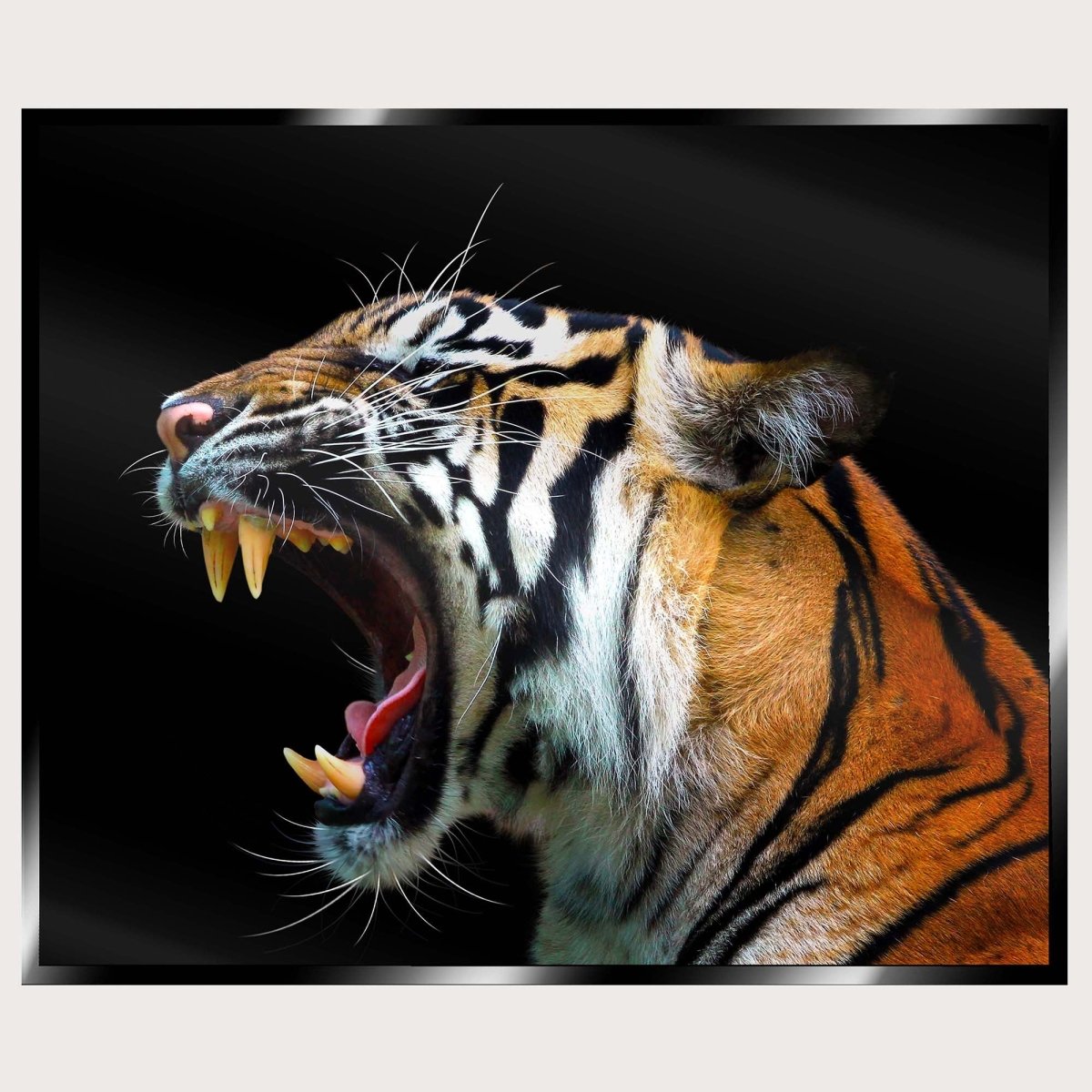 Illuminated Wall Art - Angry Tiger - madaboutneon