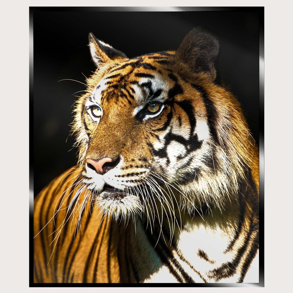 Illuminated Wall Art - Tiger 2 - madaboutneon